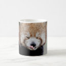 Search for red panda mugs Asia
