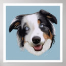 Search for australian shepherd posters Aussie