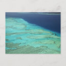 Search for beachcombing postcards View