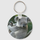 Search for koala keychains Zoo
