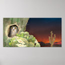Search for cactus posters Desert landscape
