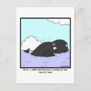 Recherche de vanité cartes postales Humour