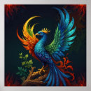 Recherche de oiseau phoenix posters Plumes