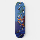 Search for orcas skateboards Wildlife