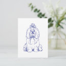 Recherche de tzus de shih cartes postales Bleu