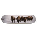 Recherche de hiver skateboards Forêt