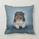 Search for australian shepherd pillows Canine