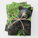 Search for cub wrapping paper Nature
