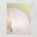 Search for objects postcards Sea