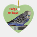 Search for parakeet ornaments Parrots