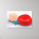 Recherche de globules rouges art Image de couleur
