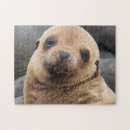 Search for galapagos puzzles Danita delimont