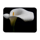 Recherche de flower magnets Bouquet
