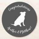 Search for pitbull coasters Dog