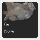 Search for fat cat stickers Kitty
