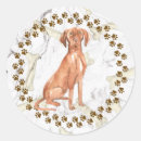 Search for vizsla dog stickers Magyar