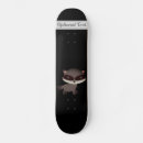 Search for raccoon skateboards Animal