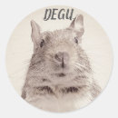 Search for year of the rat stickers 2020