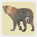 Recherche de panthera autocollants Animal sauvage