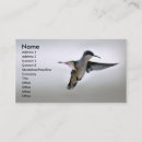 Recherche de colibris cartes visite Affaires