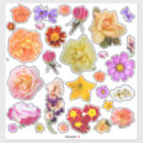 Recherche de de courge autocollants Fleurs