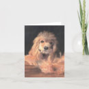 Recherche de cocker spaniel dog cards Chiot