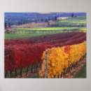 Search for fall colour posters Canada