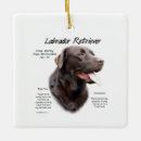 Recherche de labrador retriever ornements Laboratoire jaune