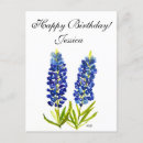 Search for lone star cards Watercolor