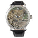 Search for predator watches Leopard