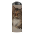 Recherche de calico cats tasses Chatte