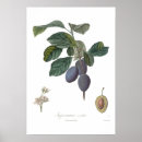 Search for violette art Floral