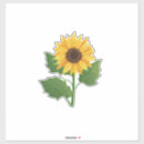 Search for beautiful sunflower stickers Yellow