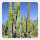 Search for pipe organ stickers Cacti