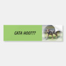 Search for cata Dogs