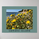 Search for a day at the beach posters Sunshine