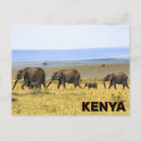 Recherche de le kenya cartes postales Afrique