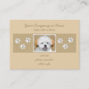 Search for apso Dog