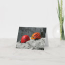 Search for rock climber cards Sports