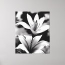 Search for white lily canvas prints Lilies