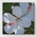 Recherche de parfum horloges Fleurs
