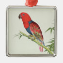 Search for ornithology ornaments Ornithological