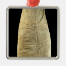 Recherche de gaulois ornements 01st