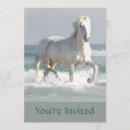 Search for horse lover invitations Party