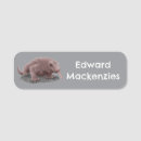 Recherche de lézard bureau fournitures Dragons