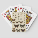 Search for insect playing cards Animals