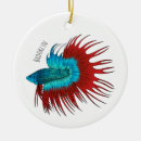 Search for betta fish ornaments Siamese fighting fish