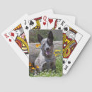 Recherche de amitié jeux de cartes Aventure