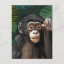 Recherche de jungles cartes postales Chimpanzé