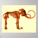 Search for dinosaur bones posters Fossil